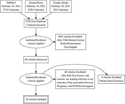 The Impact of Social Support and Pregnancy on Subjective Well-Being: A Systematic Review